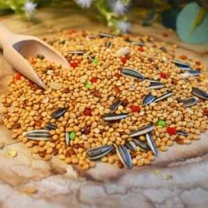 Shambi mixtura EXTRA 20KG Canarios con avena (Sin negrillo)